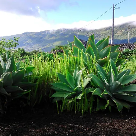 Casa Da Adega Σπίτι διακοπών Prainha (Sao Roque do Pico)