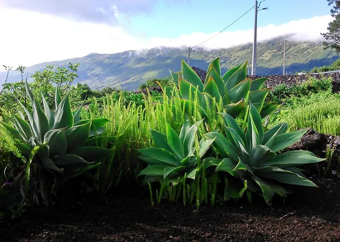 Casa Da Adega Tatil Evi Prainha (Sao Roque do Pico)