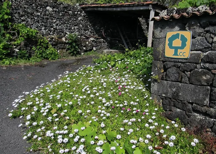Casa Da Adega Σπίτι διακοπών Prainha (Sao Roque do Pico)
